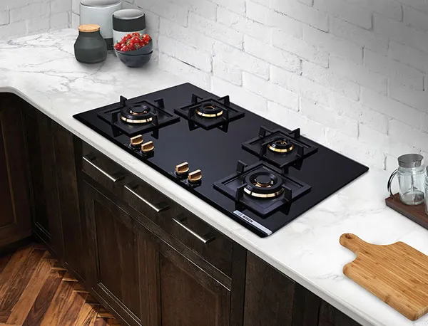 Gas Hob service repair Jaipur